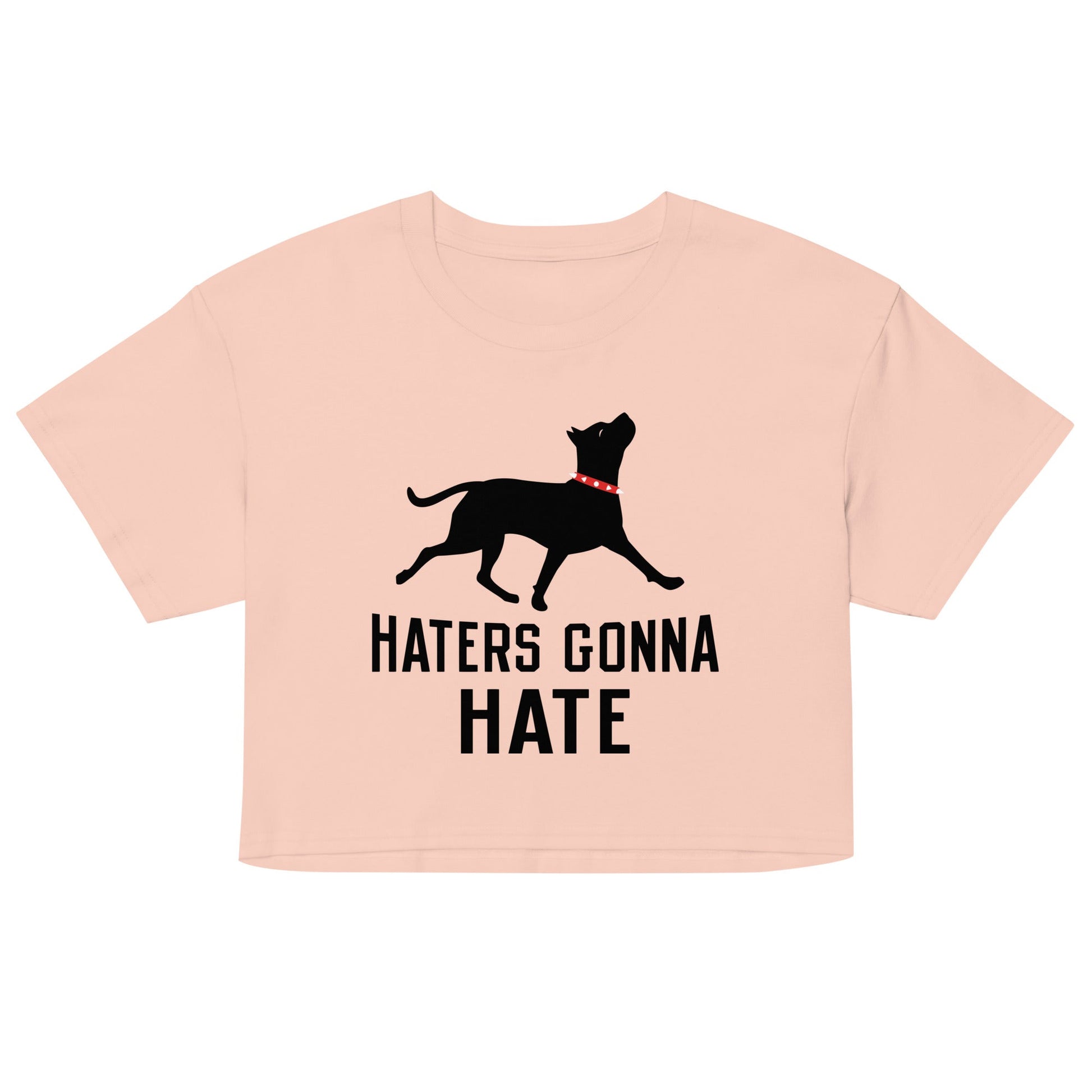 Haters Gonna Hate Pit Women's Crop Tee