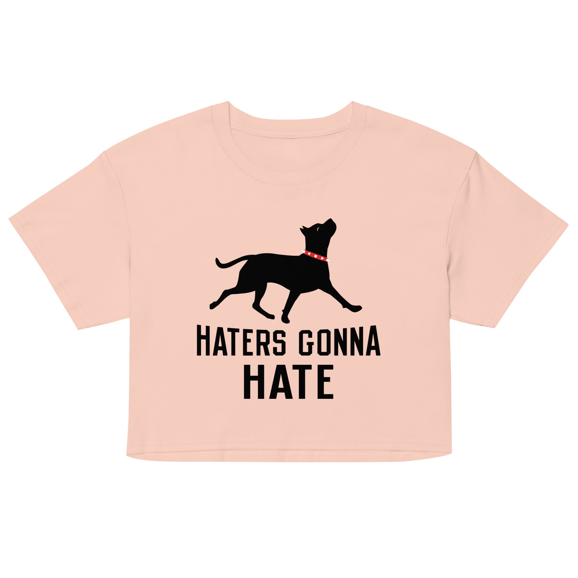 Haters Gonna Hate Pit Women's Crop Tee