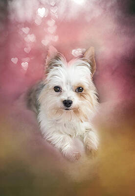 Won't You Be My Valentine Print