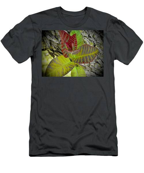 Colorful Leaves on Tree Bark T-Shirt